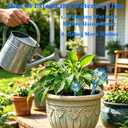 MOONSOUND Self Watering Globes for Plants - 10pcs Automatic Watering Bulbs for Indoor & Outdoor Potted Plants, Vacation Plant Care, Water Conservation Device