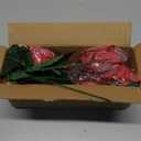 Poinsettias Artificial Christmas Flowers 9.8" Large Heads 6 Pack 16.9" Bouquet Red Faux Velvet Flower for Xmas Tree Home Christmas Decorations