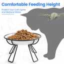 Ceramic Elevated Cat Bowls - Whisker Friendly, Anti-Vomiting, Stylish & Hygienic Cat Bowl Set (Line Cat, 2 Pack)
