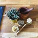 eplanita Natural Dish Brush, 3 Replacement Heads, Kitchen Eco Bamboo Scrubber Brushes, Extra Plant Sponge, Plastic Free Washing Up, Zero Waste Cleaning