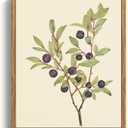 crmotu Botanical Framed Wall Art, Blueberry Plant Canvas Prints, Minimalist Vintage Wall Decor Living Room Bathroom Bedroom, Nature Fruit Rustic Farmhouse Kitchen Decorations Pictures, 12x16inch (Big Whortleberry)