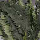 Artificial Boston Ferns Bush Plants Large, Set of 3 Large Artificial Ferns for Outdoors, 33" Faux Ferns for Home Decor Office Living Room Garden Porch