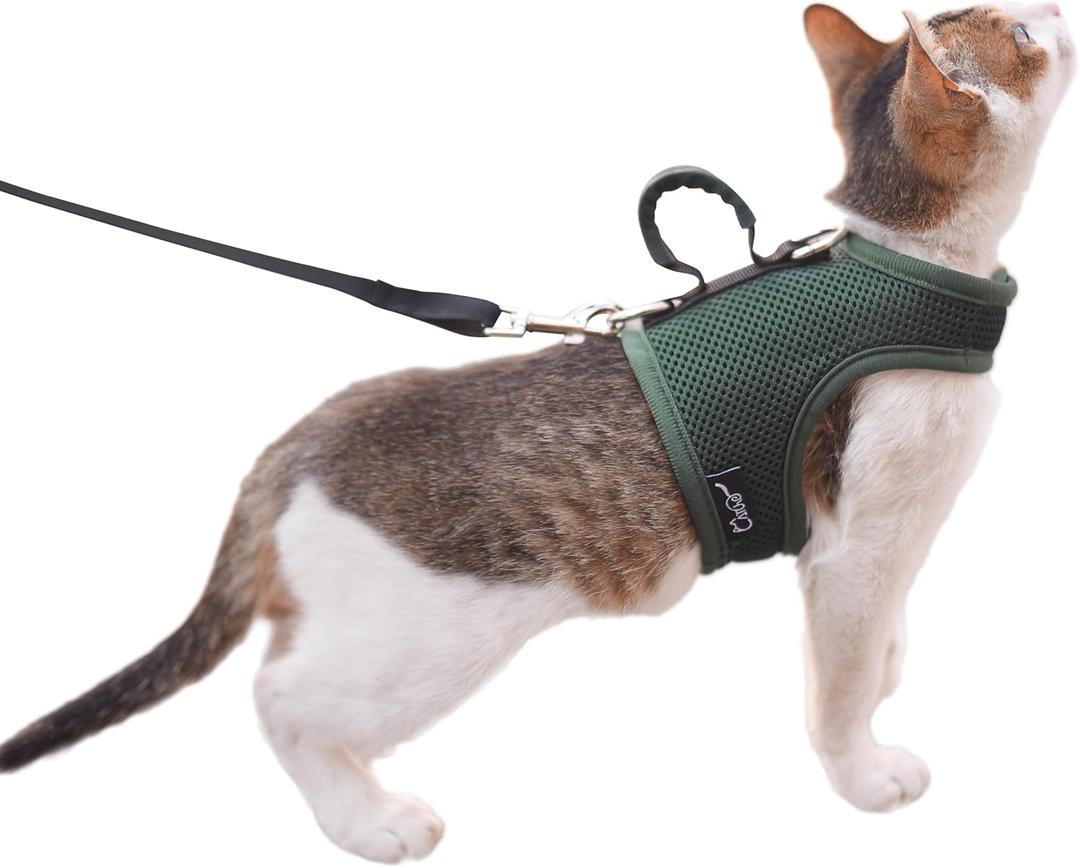 Cat Harness and Leash for Walking Escape Proof Breathable Mesh Fabric, Solid Green, Large, Adjustable Cat Walking Jackets with Handle, Padded Stylish Cat Vest (L 8-12LBS)