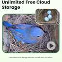Birdfy Bird House with Camera, Solar Powered with Iron Guard for Outside, AI Identify, 1080P HD & Night Vision for Bluebird Finch Swallow Wren Chickadee Nesting Watching, Auto Detect & Notify