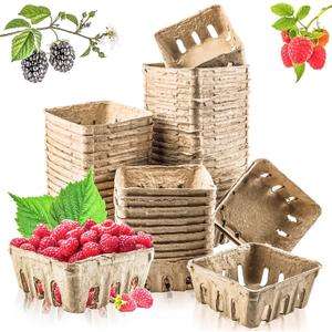 Vmiapxo 50 Pack Natural Pulp Fiber Berry Basket, Small Farmers Market Display Produce Baskets, Vented Berry Container for Strawberry Blueberry Raspberry Egg Fruit Vegetable, Grocery Store Supplies (50 Pack-1/2 Pint)