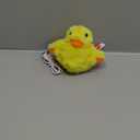Cat Toys Rechargeable Flapping Duck with Catnip, Flapping Duck Cat Toy, Lifelike Quack Chirping, Touch Activated Kitten Plush Toy Interactive Cat for All Breeds