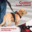 rabbitgoo Dog Harness No Pull with 2 Leash Clips, Adjustable Soft Padded, Reflective Oxford No Choke Pet Vest with Easy Control Handle for Medium Sized Dogs, Red Plaid, M