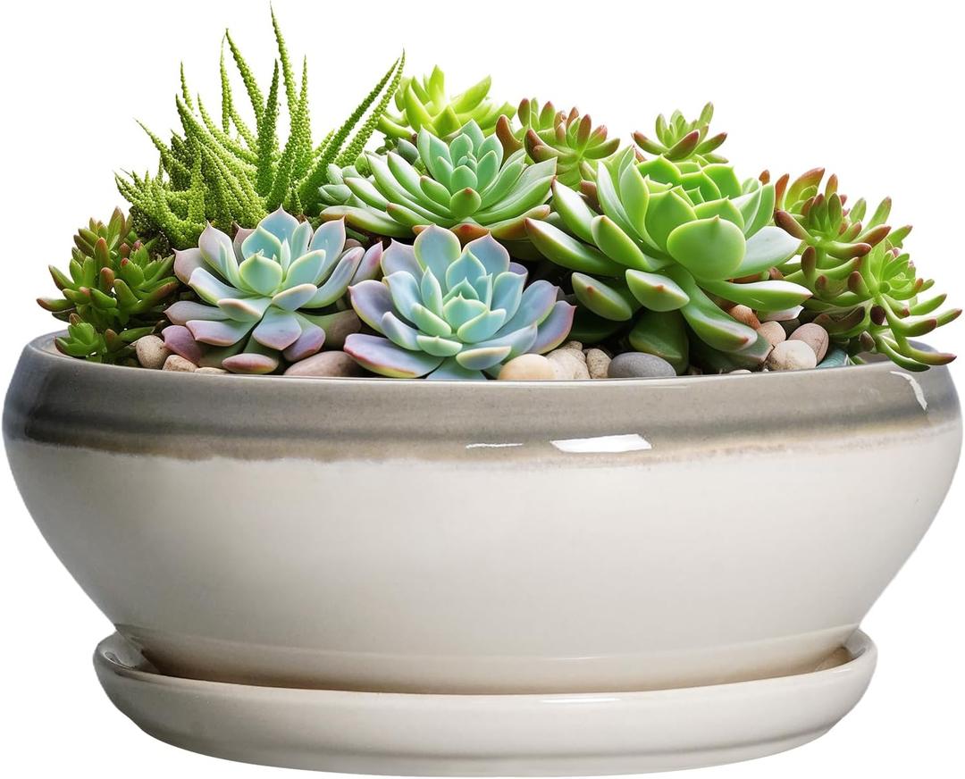 SQOWL Large Succulent Planters - 12 Inch Ceramic Bonsai Pots with Drainage Hole and Saucer, Shallow Round Planter for Indoor Plants, Bowl Planter Outdoor, Living Room Decor, Birthday Gift, Gray-Beige (Grey-white)