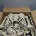 84Inches/7Ft Mermaid Halloween Life Size Skeleton Pose-N-Stay Posable Movable Joints Hanging for Halloween Decoration Decor Spooky Scene Party Favors