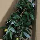 Artificial Fake Olive Tree 4FT Tall 1Pack with White Planter Faux Silk Olive Tree for Home Living Room Office Decor Faux Artificial Plants Indoor with Fruit & Free Moss