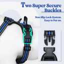 rabbitgoo Dog Harness No Pull with 2 Leash Clips, Adjustable Soft Padded, Reflective Oxford No Choke Pet Vest with Easy Control Handle for Large Dogs, Blue Plaid, L