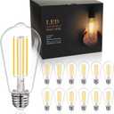 BORT ST58/ST19 Vintage LED Edison Bulbs, 6W Equivalent 60W Filament Light Bulbs, Dimmable 700LM, E26 Base LED Bulbs, Clear Plastic (Daylight White, 12 Pack)