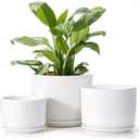 EFISPSS Plant Pots, 4+5+6 Inch Pots for Indoor Plants, Ceramic Planter Pot with Drainage Hole, Flower Pots for Succulent Cactus, Set of 3 - White