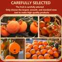Natural Dried Persimmons,Persimmons Fruit Fresh,Natural Sweet Fruit Snack,Dehydrated Unsweetened Driedfruit,Fresh picking on the farm(500g) shuang, BBD 2026/07/20