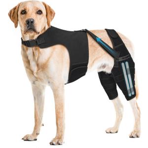 Dog Knee Brace for Torn ACL Hind Leg, Dog Leg Braces for Back Leg with 4 Metal Stabilizers Strong Joint Support to Reduce Pain from Luxating Patella, Ligament Injury, Hip Dysplasia, XXL