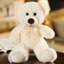 Teddy Bear Stuffed Animal, 12inch Teddy Bear Plush Toy, Birthday Valentine's Day Xmas Gifts for Kids Boys Girls Friends (White)
