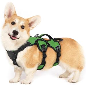 rabbitgoo Escape Proof Dog Harness, Soft Padded Full Body Pet Harness, Reflective Adjustable No Pull Vest with Lift Handle and Lesh Clip for Large Dogs Walking Hiking Training, S, Green (Small (Pack of 1))