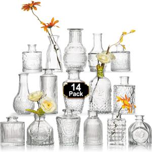 Arme 14 Pcs Bud Vase Set, Mini Vases for Flowers, Small Vintage Glass Vase for Centerpieces, Cute Clear Bud Vases for Home Flower Wedding Decorations