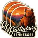 3PCS Tennessee Sticker for Bottle and Laptop  Waterproof Vinyl Decals, Tennessee Sticker Pack Travel Souvenirs, Nashville Stickers Party Favors, Tennessee Gifts, State Pride and Decor