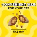 Temptations Cat Treats Classic Crunchy and Soft Cat Treats, Savory Salmon Flavor, 30 oz. Tub (1.88 Pound (Pack of 1))