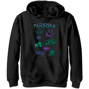 AVATAR unisex-child Avatar Textbook Hoodie, XL