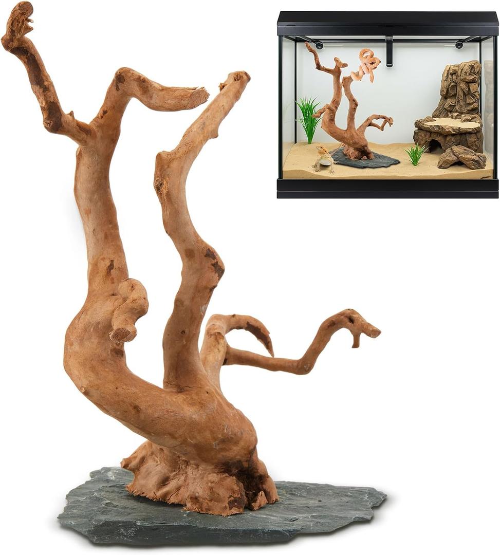 AceOrbit Large Driftwood for Aquarium, 8.5-11.5 Inch Spider Wood on Slate Stone, Natural Spiderwood Aquarium Driftwood Aquascaping Wood for Reptile Enclosure, Terrarium, Reptile Tank, Fish Tank Decor