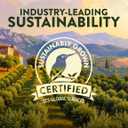 Pompeian USDA Organic Extra Virgin Olive Oil Non-Stick Cooking Spray, No Propellant, 5 Fl Oz, Pack of 3 (EXP 12/01/28)