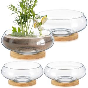 Baderke 4 Sets Glass Planter Bowls for Flowers with Tray 6'' Round Glass Vase Bowl Hydroponic Lotus Planter Pot Propagation Vases Fish Bowl for Plants Indoor Windowsill Kitchen Desktop Wedding Decor