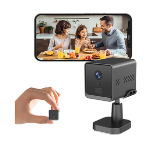 Fran's Essentials WiFi LTE Hidden Camera.