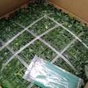 20''x20'' (12 Pieces) Artificial Hedge Vine Panels Greenery Backdrop