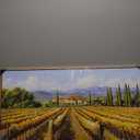 XLSJERST Fall Picture - Orange Wall Art Vineyard Large Landscape Autumn Framed Wall Decor Living Room Vintage Artwork Nature Forest Canvas Wall Art for Bedroom Office Fall Wall Decor - 40x20 Inches