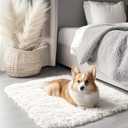 OLANLY 2x3 Machine Washable Small Bedside Rug, Soft Fluffy Shaggy Entryway Throw Rugs for Bedroom, Living Room, Indoor Floor Carpet for Kids Girls and Boys, Nursery Rooms, Home Decor Aesthetic, Ivory