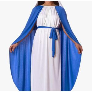 Morph Virgin Mary Costume For Kids, Virgin Mary Costume For Girls, Mary Costume For Children, Religious Dress Up, Size Large