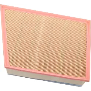 ACDelco GM Original Equipment A3141C (25945274) Air Filter
