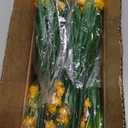 TURNMEON 20 Bundles Artificial Flowers for Outdoors, Summer Spring Grass Camellia Fake Flowers Plastic Plants,UV Resistant No Fade Faux Greenery for Gardens Porch Yards Cemetery Decor 500 Head(Yellow)