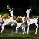 Lulu Home Christmas Yard Decoration, 3-Piece Large Pre-lit White Reindeer with 255 LEDs White Lights, 56" H 3D Light Up Glittered Standing Reindeer Family for Lighted Holiday Display Indoor Outdoor