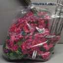 60 Pcs Artificial Faux Bougainvillea Fake Flower Silk Bougainvillea Branches UV Resistant Outdoor Indoor Decoration for Wedding Home Centerpieces Outside Decor (Rose Purple)