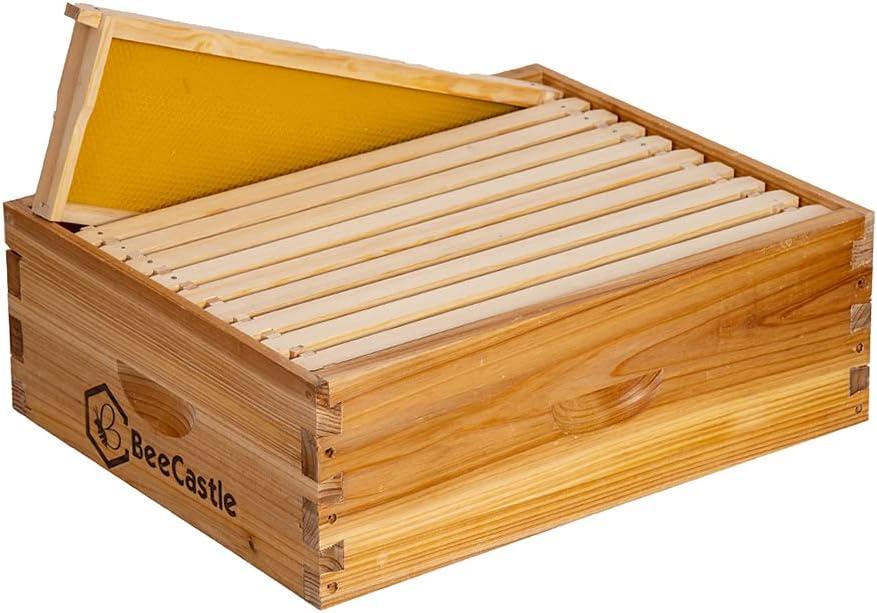 BeeCastle 10 Frame Medium Super Bee Hive Box, Langstroth Honey Bee Hive Dipped in 100% Beeswax Include Beehive Frames and Wax Foundations (Unassembled)