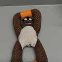 Plush Indestructible Durable Tough Dog Toys for Small Dogs, Interactive Dog Toys for Small Medium Large Dog Breeds (Raccoon)