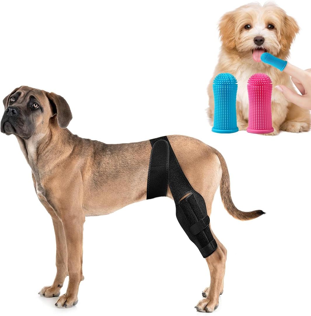 Black Dog Knee Brace for Hind Leg Adjustable Dog Leg Support Back Leg for Joint Pain Relief Arthritis Luxating Patella for Puppy with touthbrushes XS