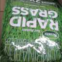 Scotts Turf Builder Rapid Grass Tall Fescue Mix, Combination Grass Seed and Fertilizer, Grows Green Grass in Just Weeks, 16 lbs.