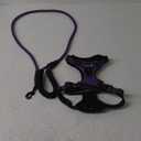 No Pull Dog Harness Adjustable Reflective Oxford Easy Control Medium Large Dog Harness with A Free Heavy Duty 5ft Dog Leash (M (Neck: 14.5"-20.5", Chest: 22"-28"), Purple Harness+Leash)