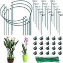 Ferraycle 24 Pack Plant Support Stakes Set 18 Pack 16 Inch Single Flower Stakes and 6 Pack 15.8 Inch Metal Plant Support Ring Cage Stakes Garden Stake for Indoor Outdoor Monstera Peony Rose Flower Etc