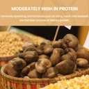 SANO Raw Cashew Pieces 32oz (2lb) Cashews Nuts, Fresh Unsalted cashew in Resealable Pack, No Salt Cashews Nuts, Raw Cashew Unsalted for Snacking & Cooking & Vegan Recipes (EXP 02/15/26)