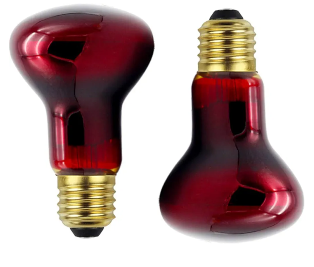 Pet Supplies 60w Infrared Heating Lamp R63 110v E26/E27 Basking Spot Lamp Bulb Nightlight Red Reptile Bulb for Reptile & Amphibian, 2 Pack