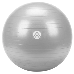 Trajectory Anit-Burst Stability Ball-65cm - Ultimate Gray