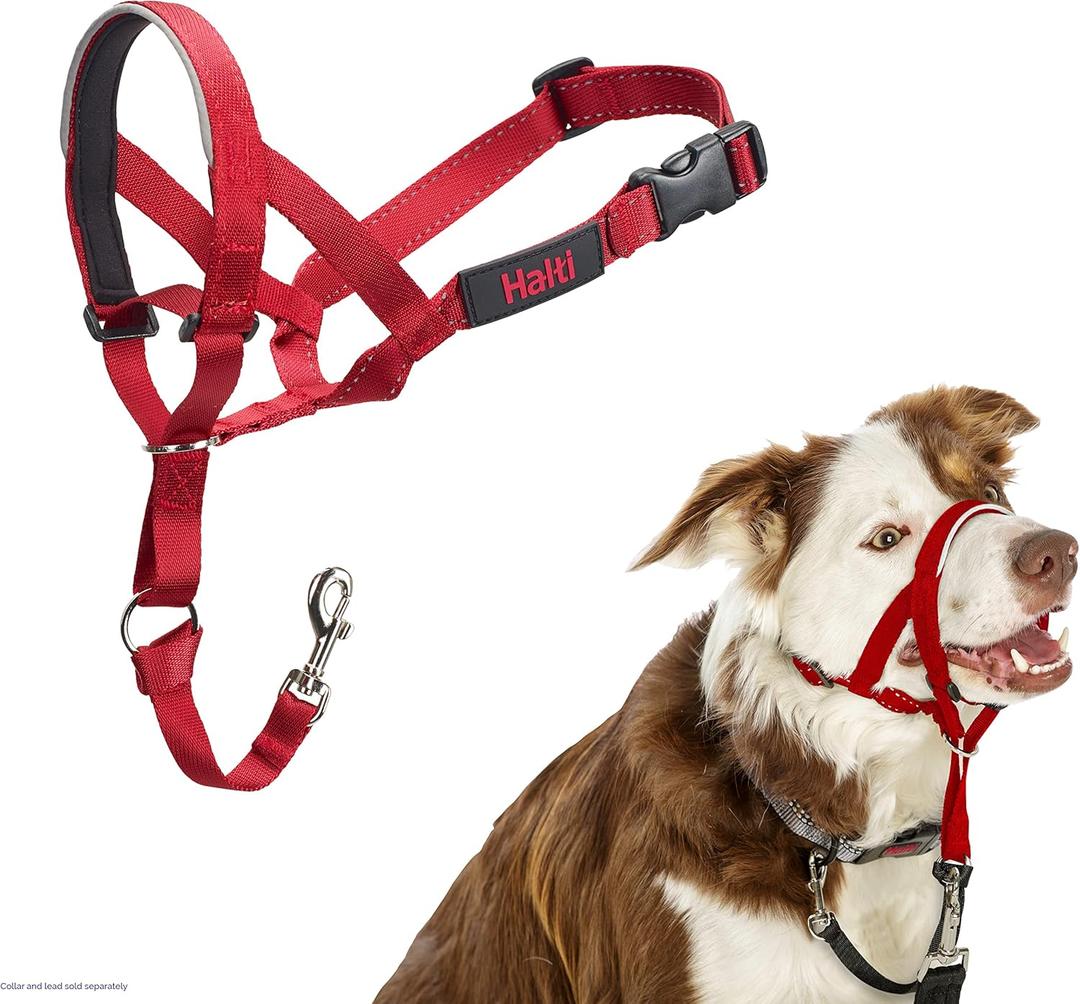 Halti Headcollar - Stop Your Dog Pulling on The Leash. Adjustable, Reflective and Lightweight, with Padded Nose Band. Dog Training Anti-Pull Collar for Medium Dogs (Size 2, Red)