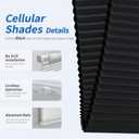 34''W x 64''H No Drill No Tools Cordless Cellular Shades for Indoor Windows, Blackout Honeycomb Blinds with Pull Down & Free Stop, Thermal Insulating & Noise Reducing, Black