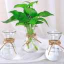 Three Hydroponic Hyacinth Glass Vases,Propagation Vases,Home Decoration Vase,DIY Interest Plant Cultivation Flower Bottles,Cottage Core Decor(Clear)