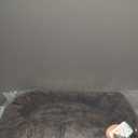 Best Friends by Sheri Original Calming Donut Dog and Cat Bed, Lux Faux Fur, Dark Brown, (30in x 30in) - Anxiety Relief for Pets Up to 45 lbs (Medium)